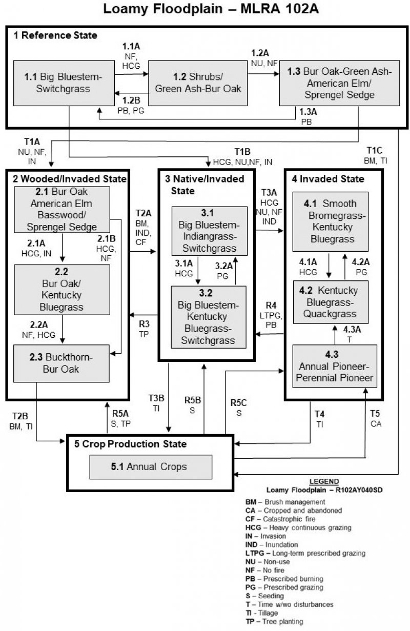 Model diagram