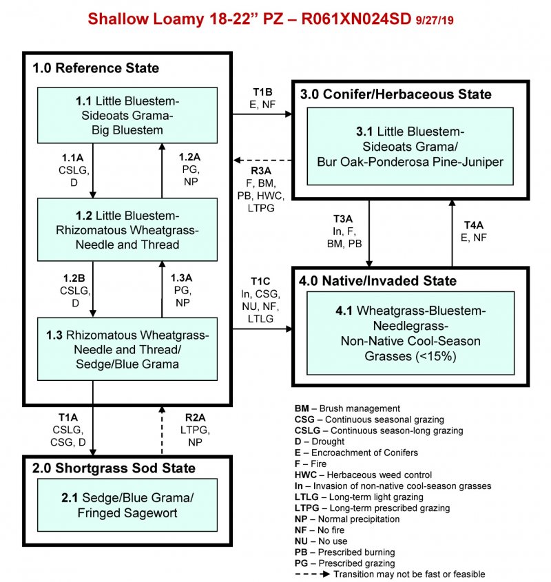 Model diagram