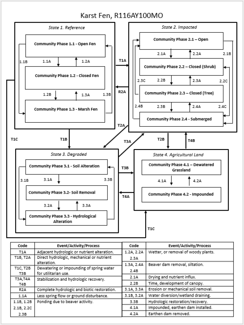 Model diagram