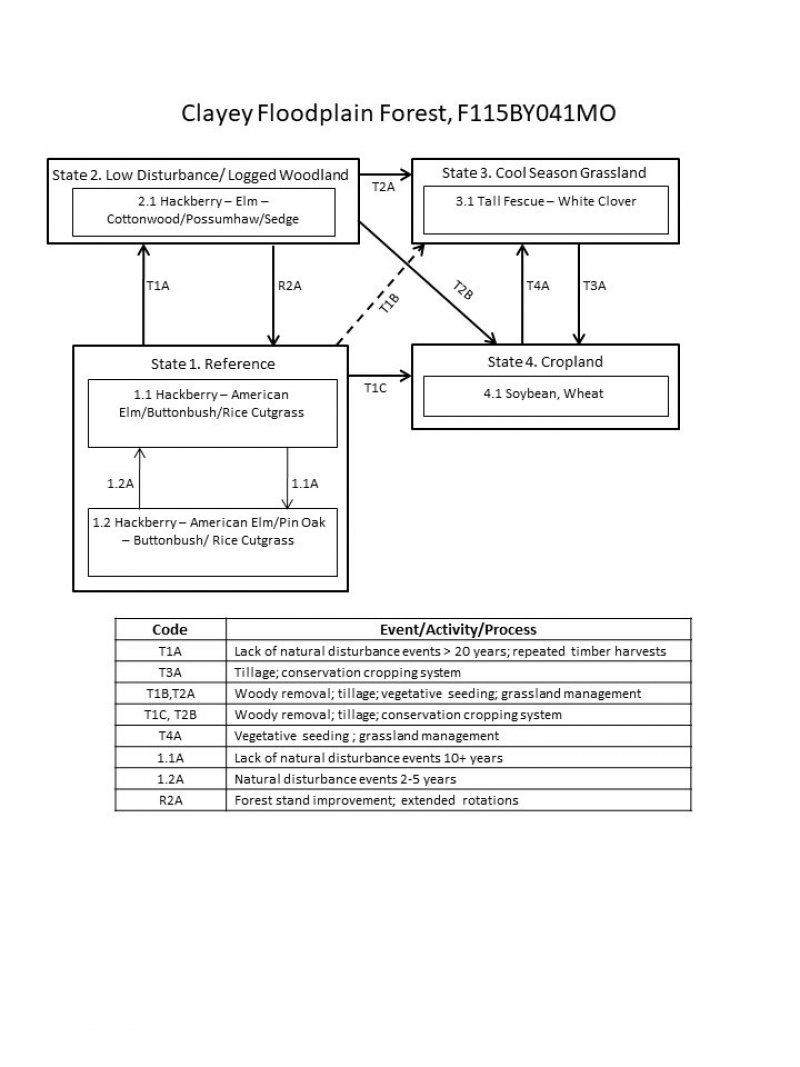 Model diagram