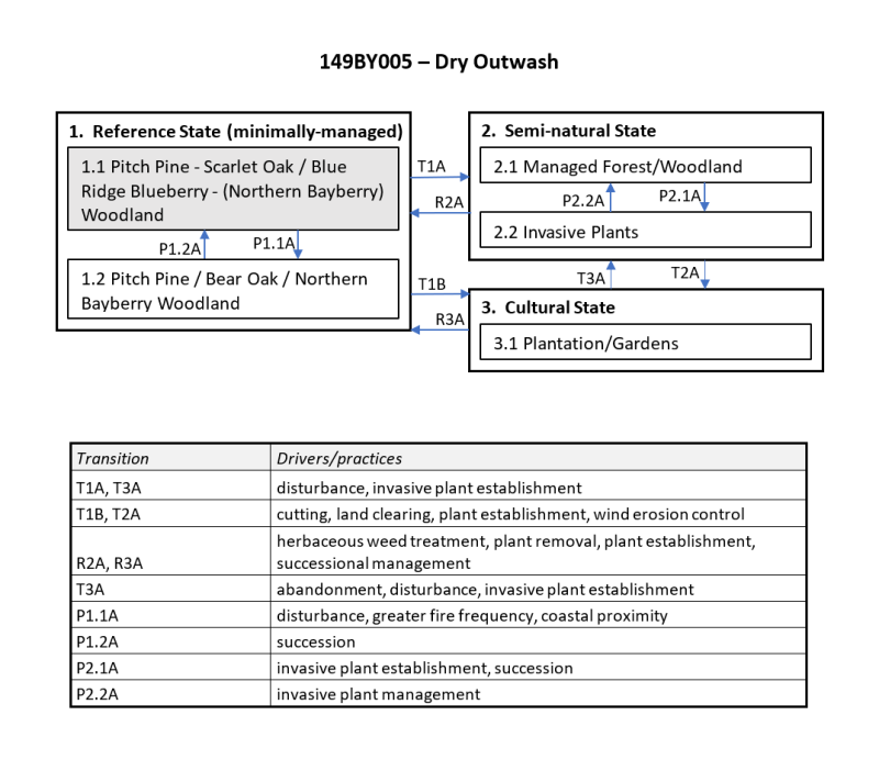 Model diagram