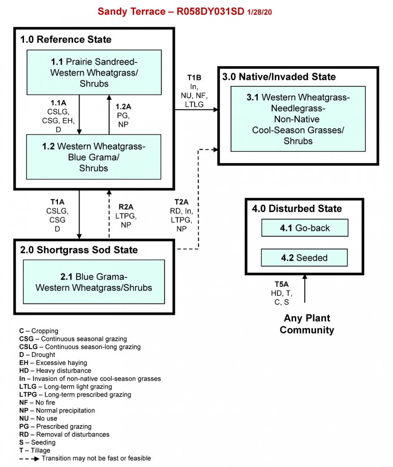 Model diagram