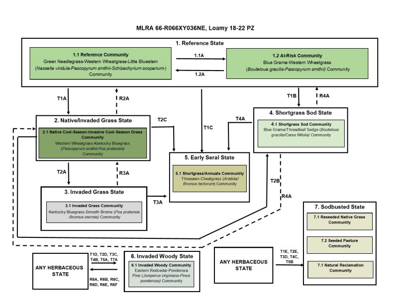 Model diagram