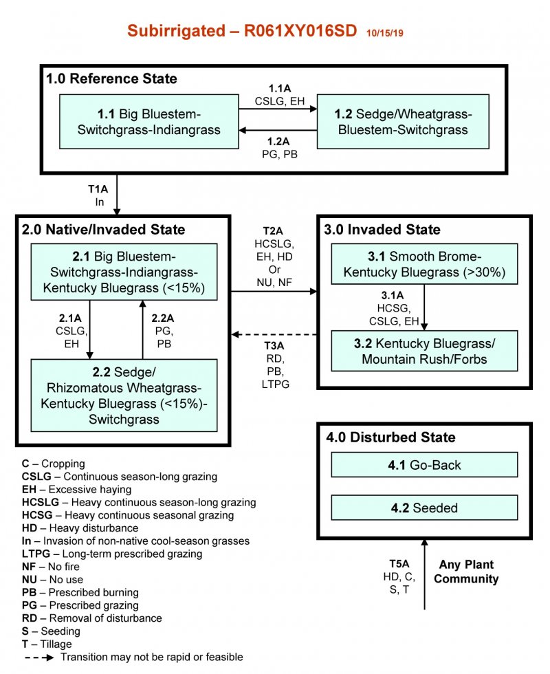 Model diagram