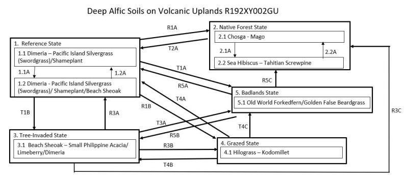 Model diagram
