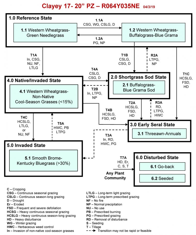 Model diagram