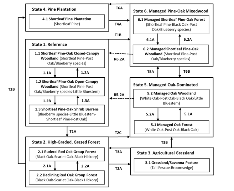 Model diagram