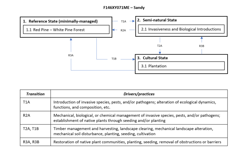 Model diagram