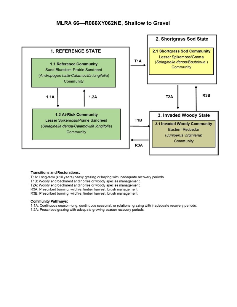 Model diagram