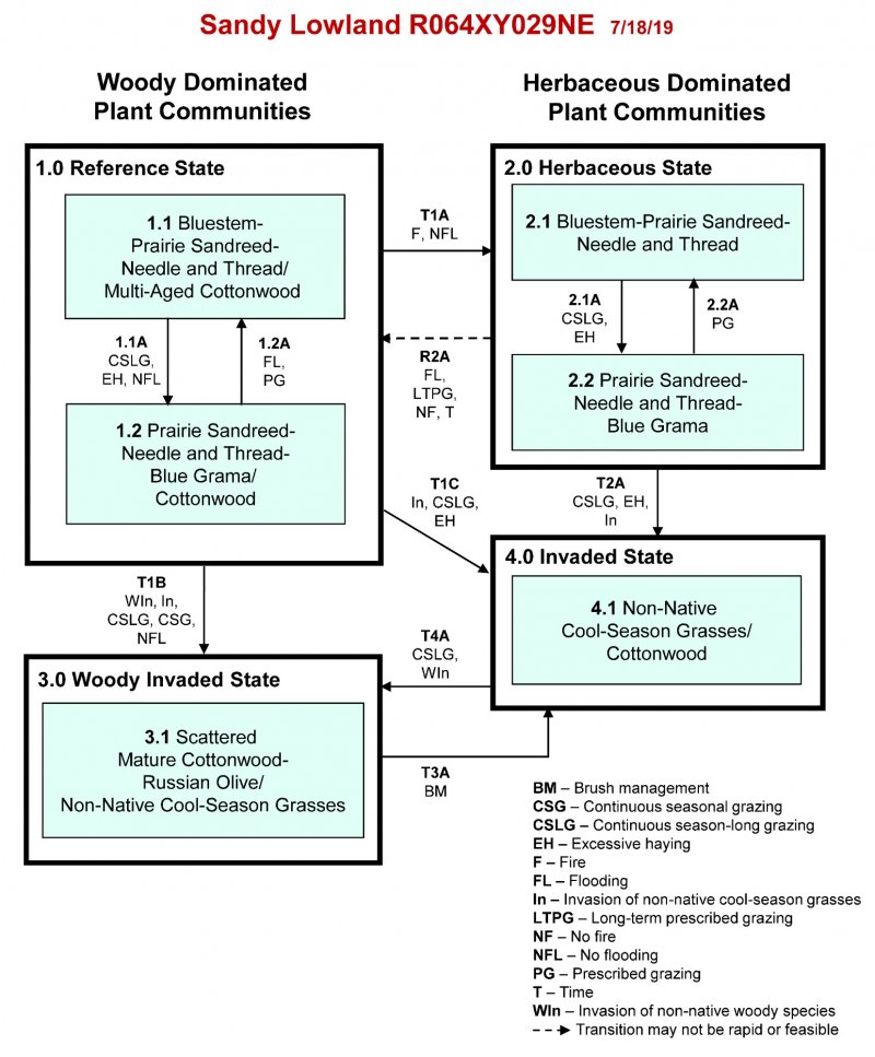 Model diagram