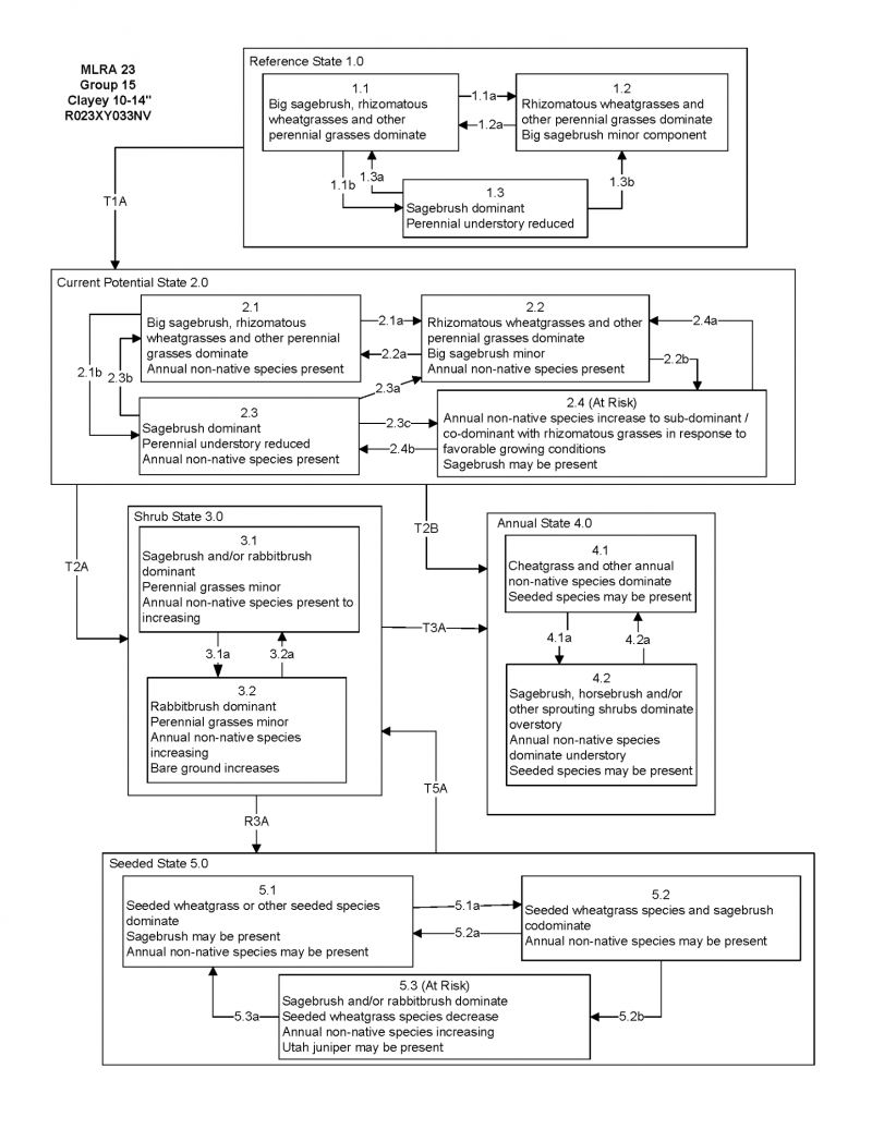Model diagram