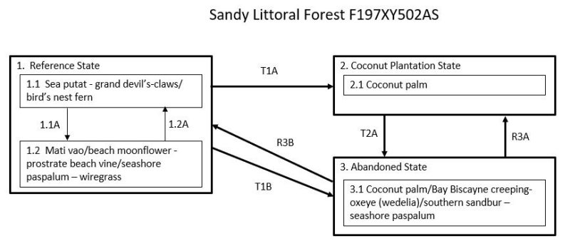 Model diagram