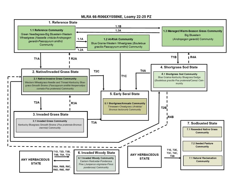 Model diagram