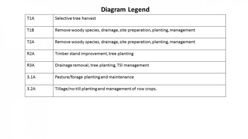 Model diagram