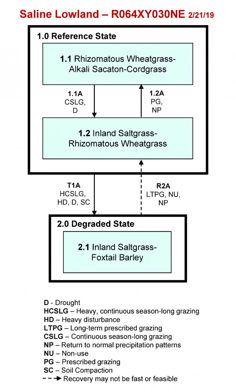 Model diagram