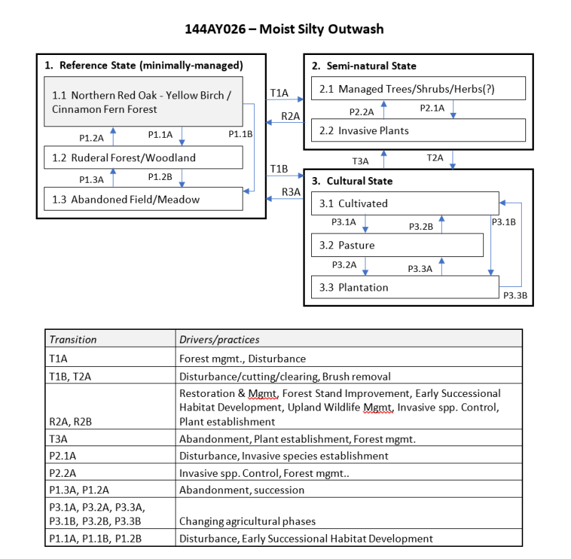 Model diagram