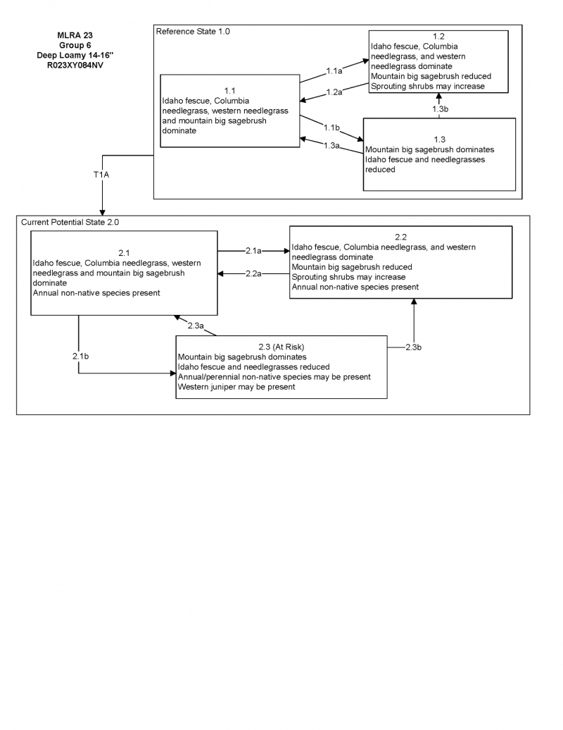 Model diagram