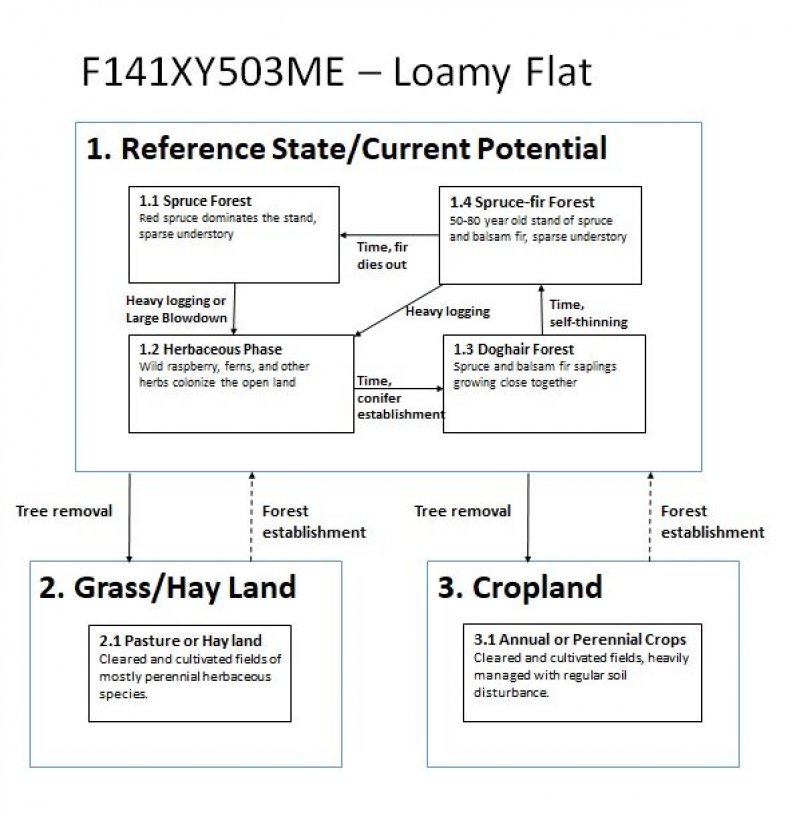 Model diagram