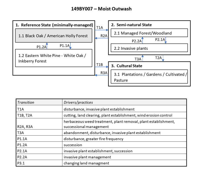 Model diagram