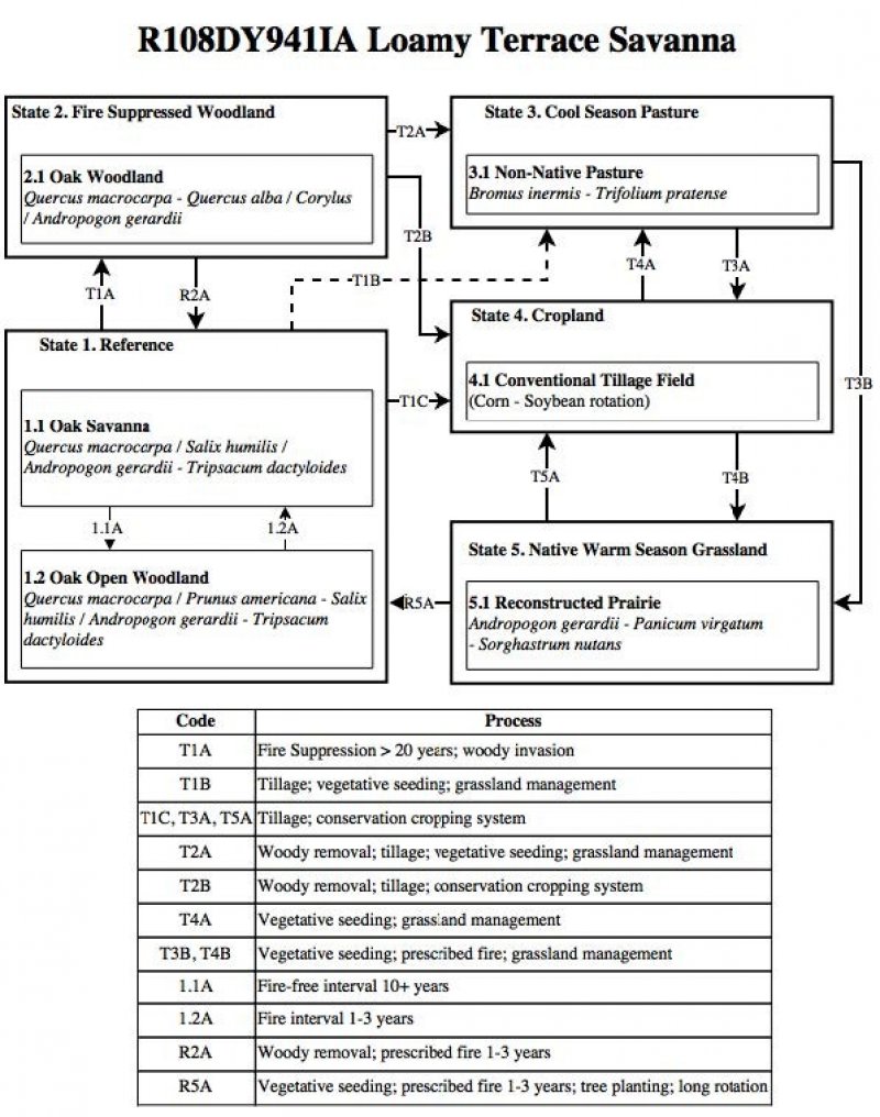 Model diagram