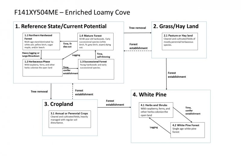 Model diagram