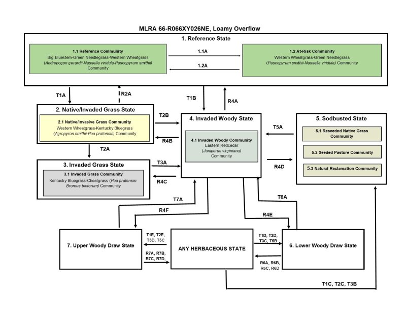 Model diagram