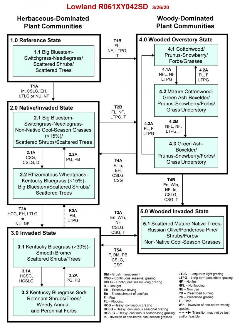 Model diagram