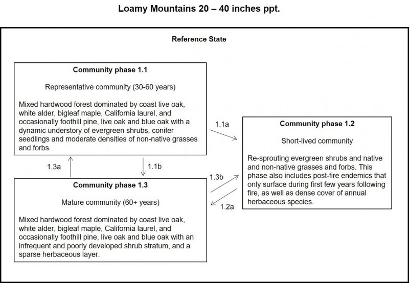 LoamyMtns20-40inches_STMDiagram