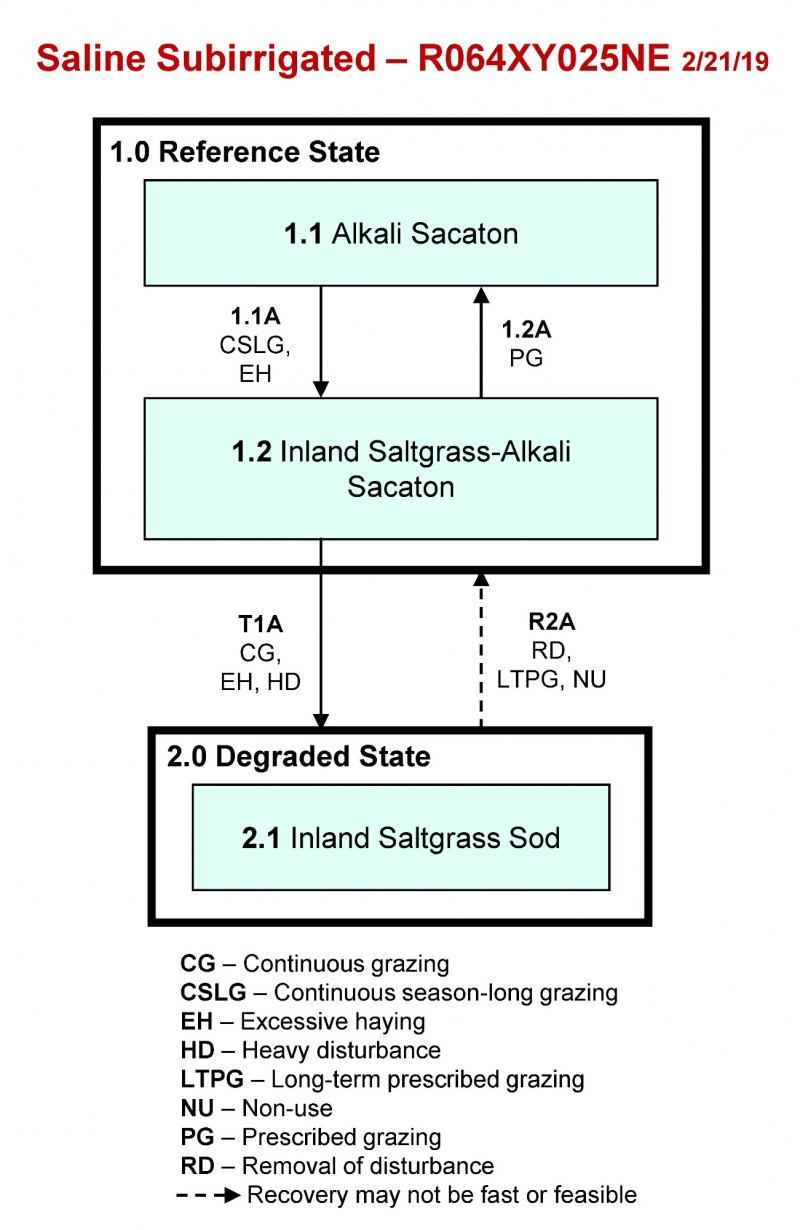 Model diagram