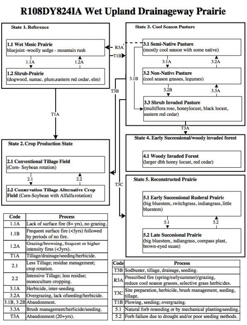 Model diagram