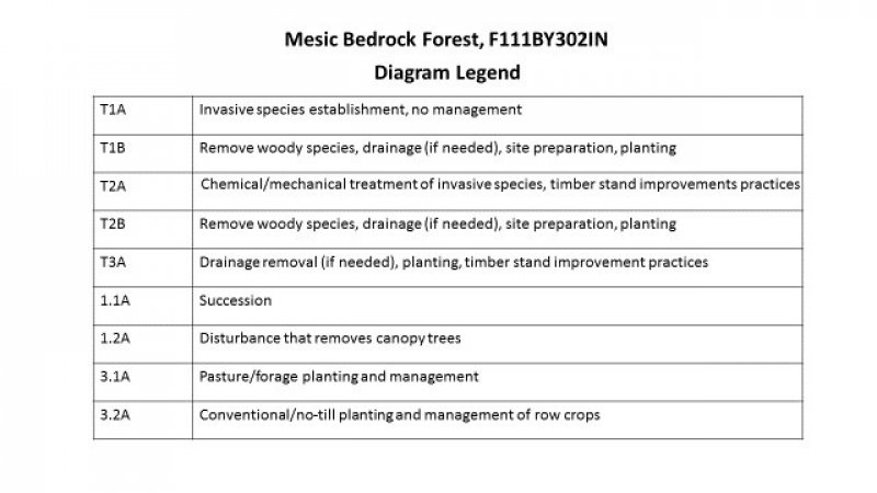 Model diagram