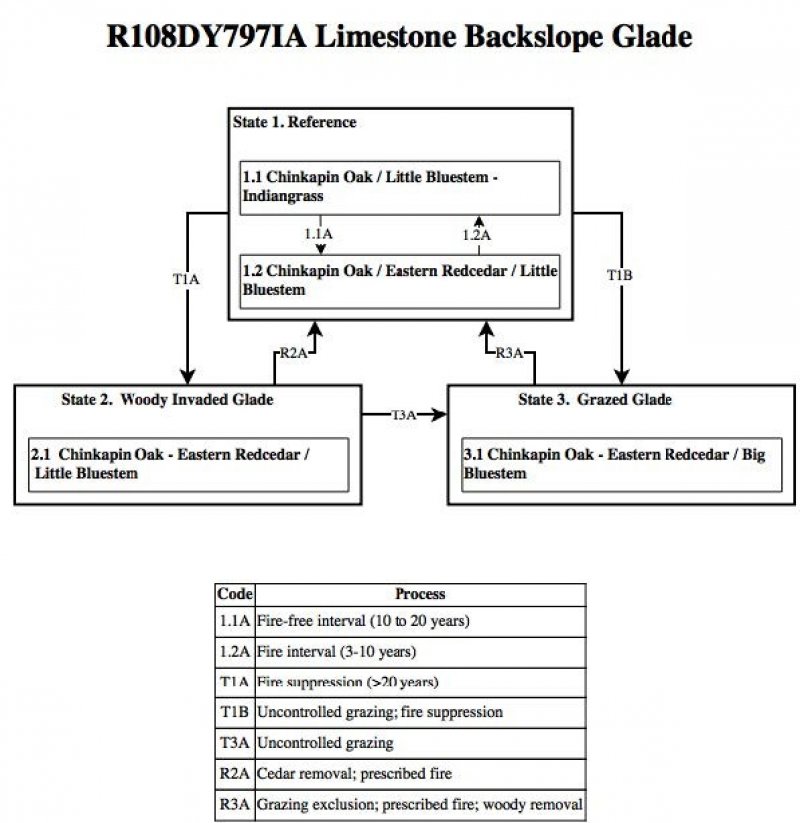 Model diagram