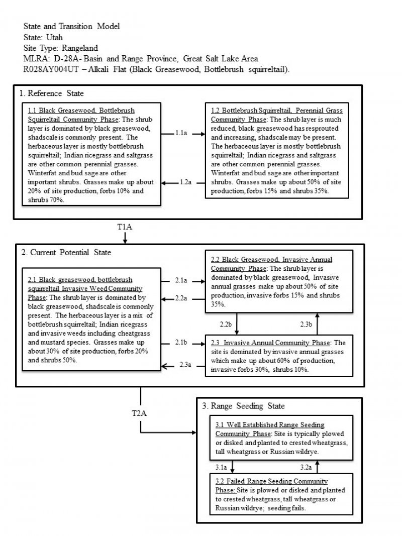 Model diagram