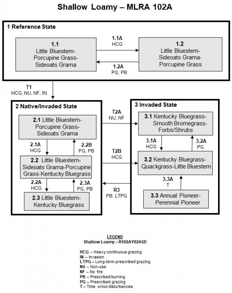 Model diagram