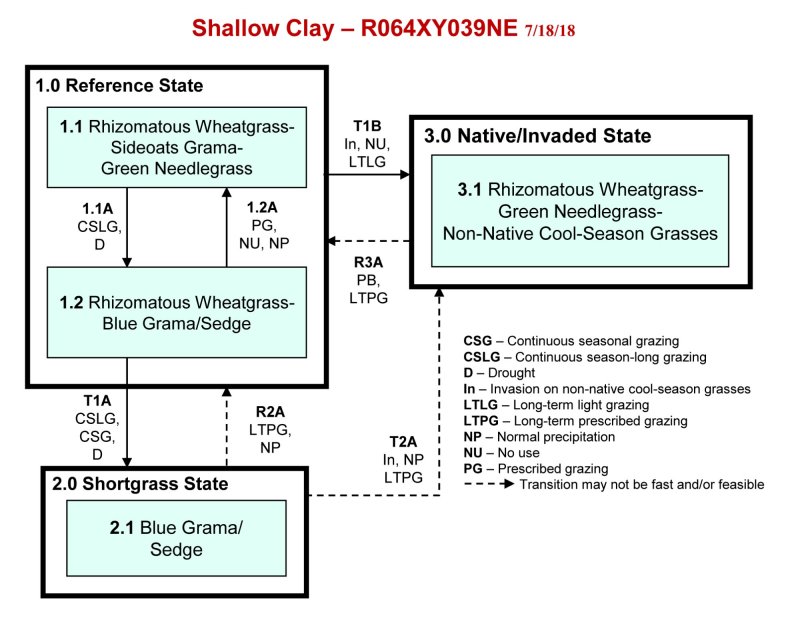 Model diagram