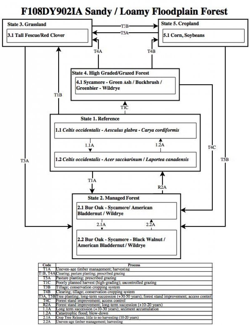 Model diagram