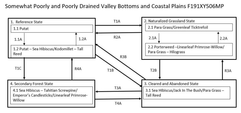 Model diagram