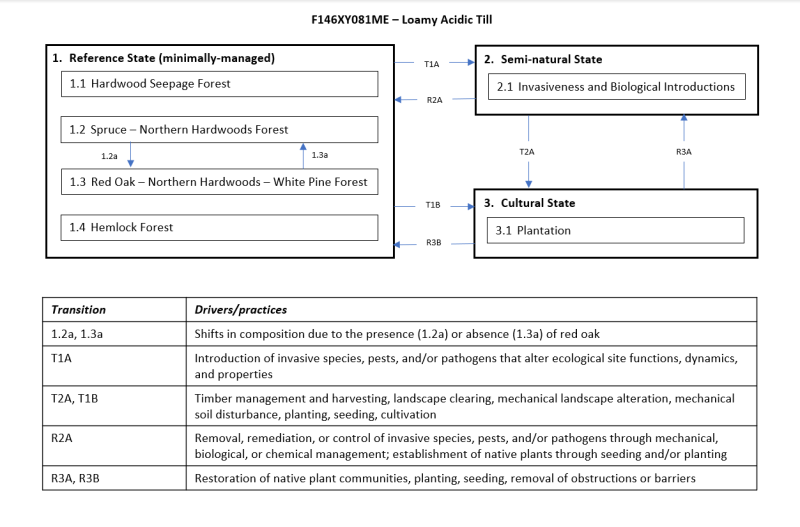 Model diagram