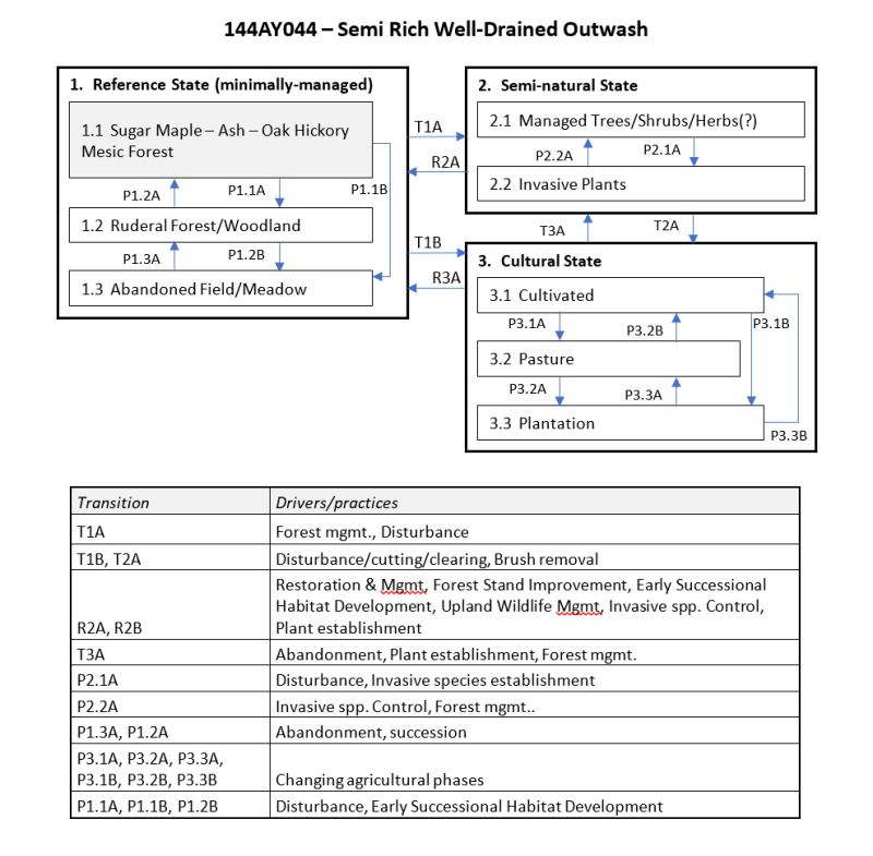 Model diagram