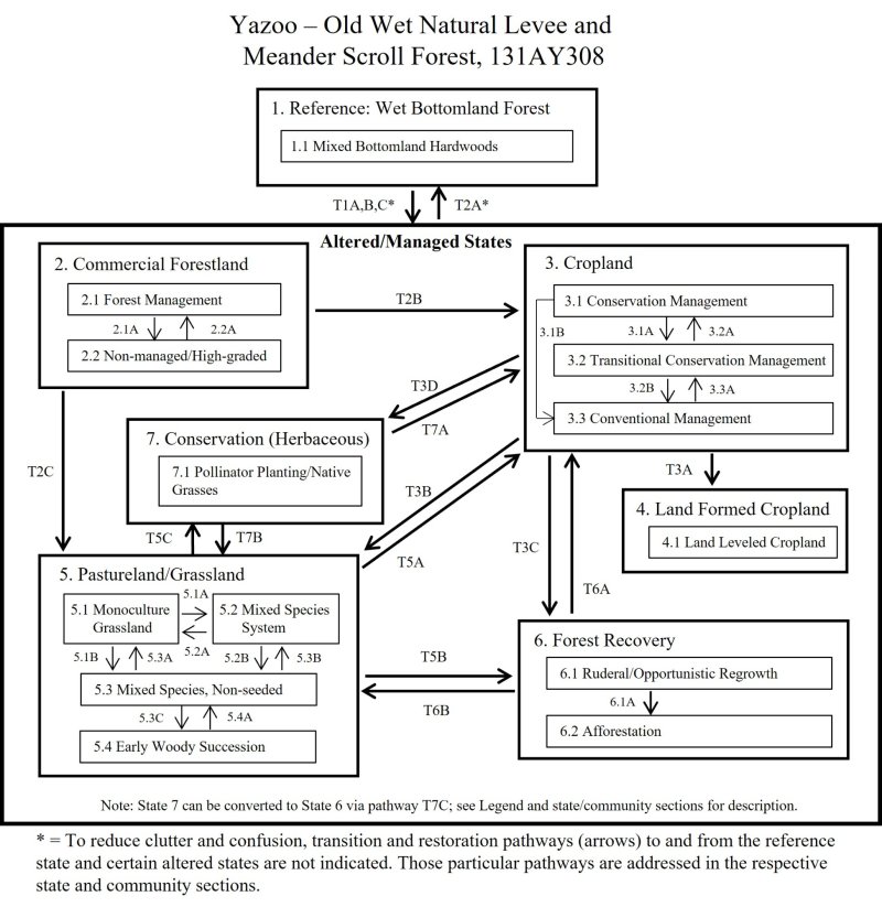 Model diagram