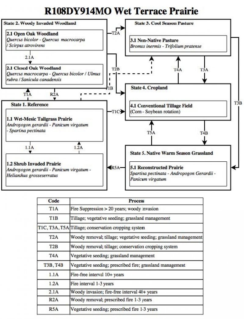 Model diagram