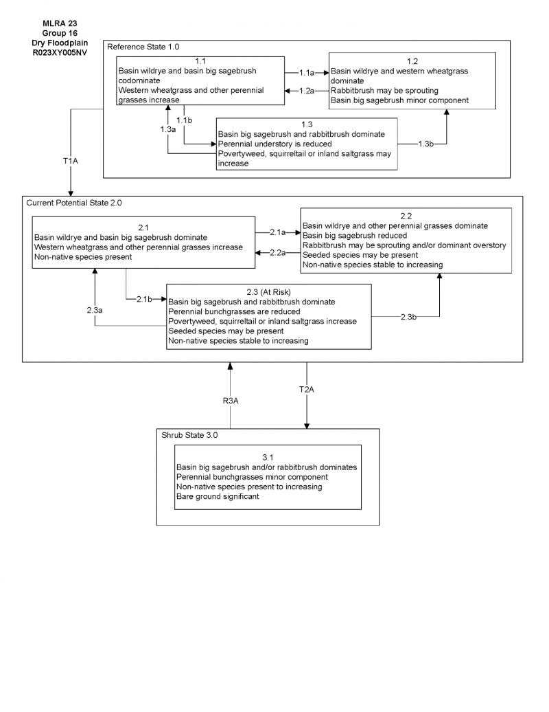 Model diagram