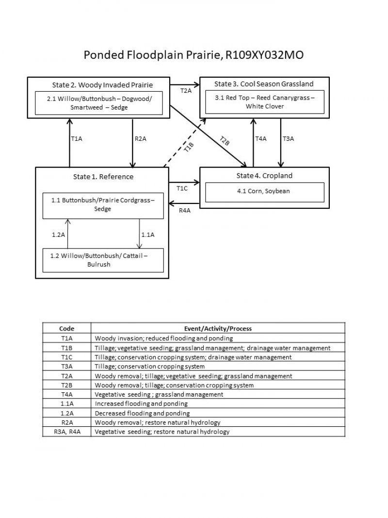 Model diagram