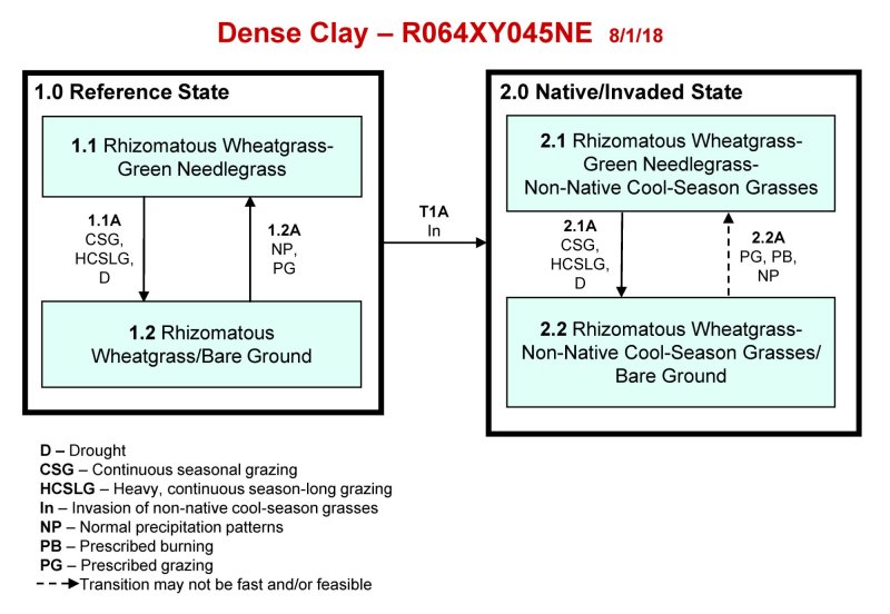 Model diagram