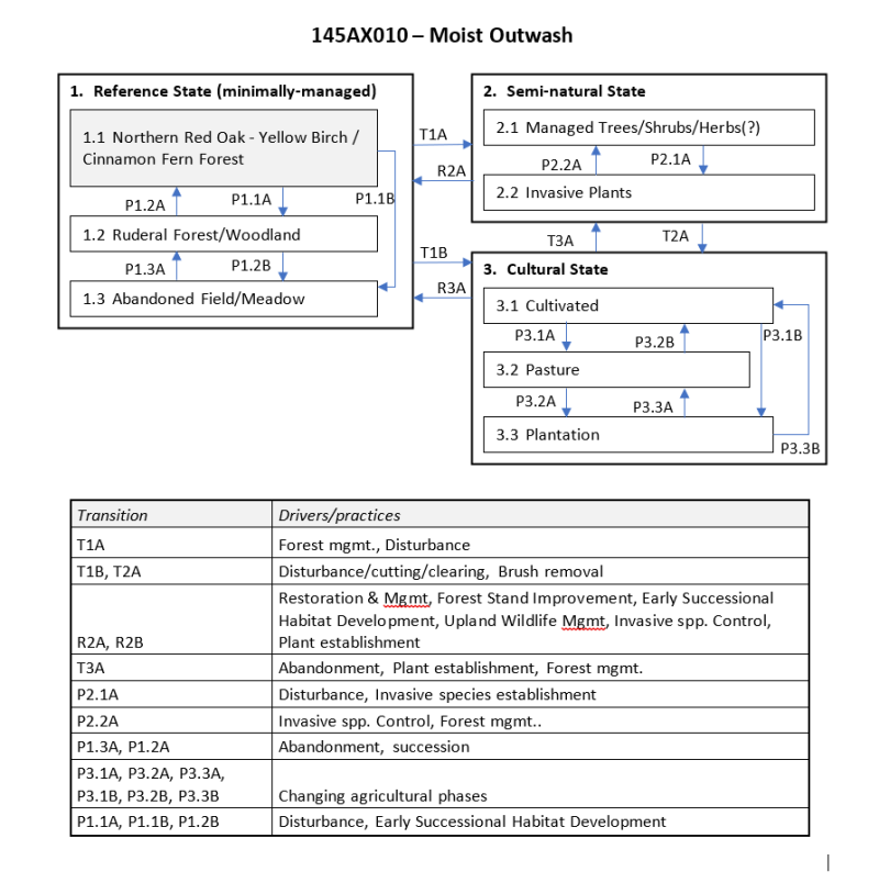 Model diagram