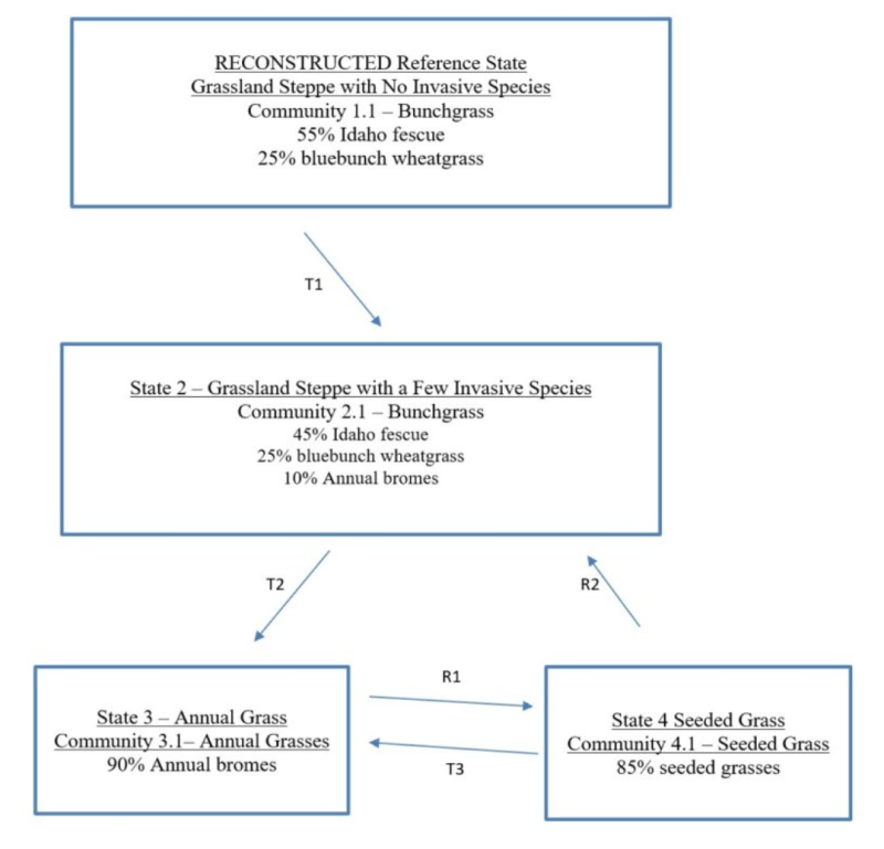 Model diagram