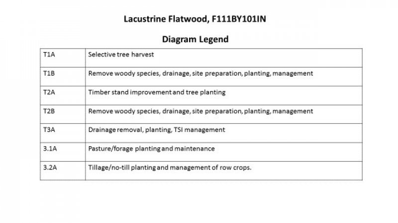 Model diagram