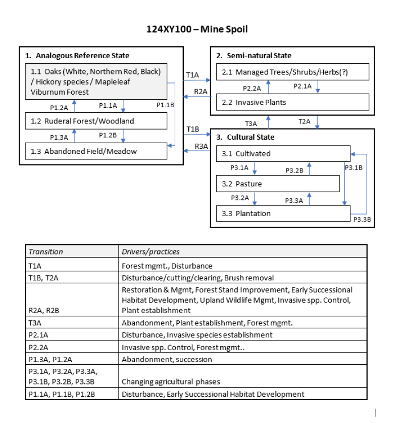 Model diagram