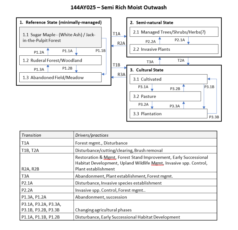 Model diagram