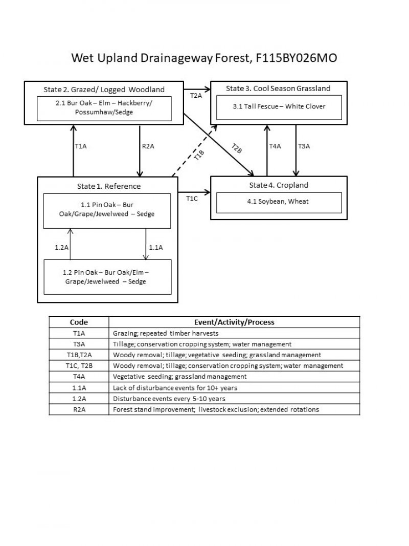 Model diagram